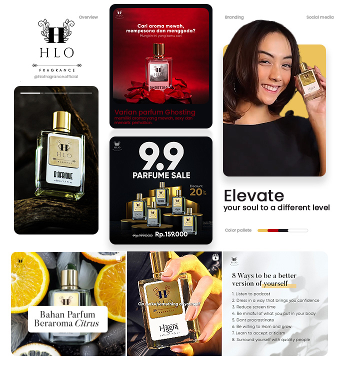 HLO Fragrance